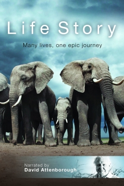 watch Life Story movies free online