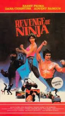 watch Revenge of the Ninja movies free online