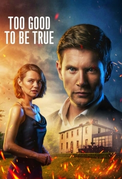 watch Too Good To Be True movies free online