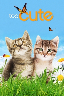 watch Too Cute movies free online