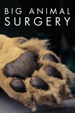 watch Big Animal Surgery movies free online