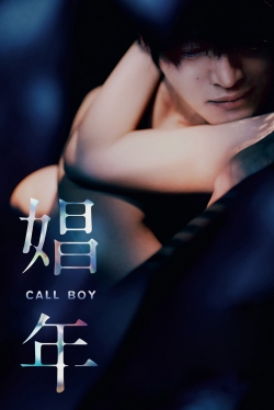watch Call Boy movies free online