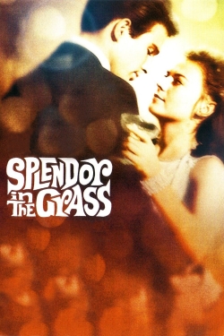 watch Splendor in the Grass movies free online