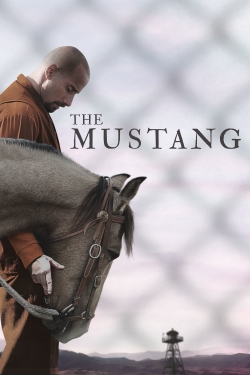 watch The Mustang movies free online