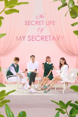 watch The Secret Life of My Secretary movies free online
