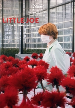 watch Little Joe movies free online