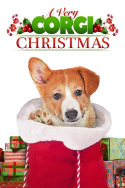 watch A Very Corgi Christmas movies free online
