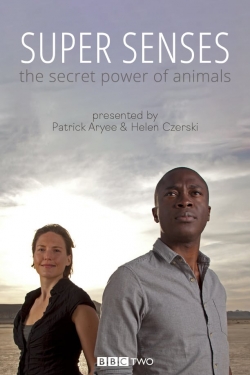 watch Super Senses: The Secret Power of Animals movies free online