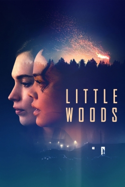 watch Little Woods movies free online