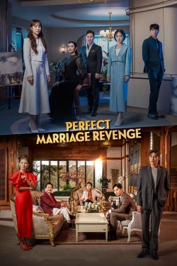 watch Perfect Marriage Revenge movies free online