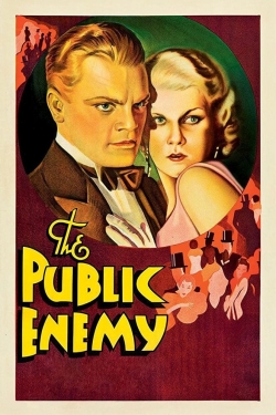 watch The Public Enemy movies free online