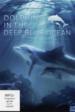 watch Dolphins in the Deep Blue Ocean movies free online