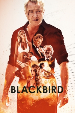 watch Blackbird movies free online