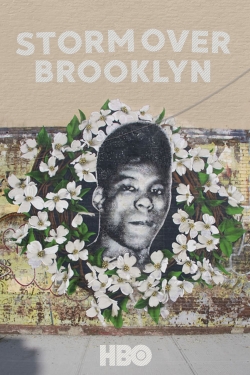 watch Yusuf Hawkins: Storm Over Brooklyn movies free online