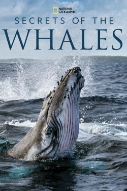 watch Secrets of the Whales movies free online