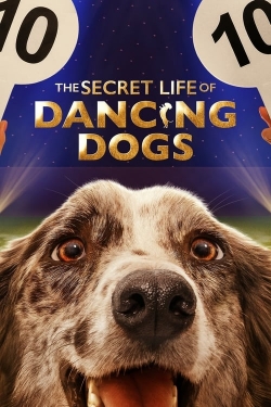 watch The Secret Life of Dancing Dogs movies free online