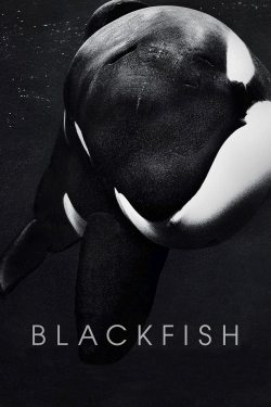 watch Blackfish movies free online