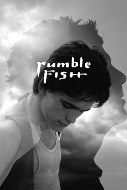 watch Rumble Fish movies free online