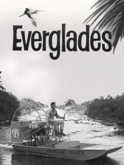 watch Everglades movies free online