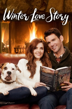 watch Winter Love Story movies free online