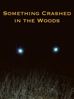 watch Something Crashed in the Woods movies free online