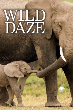 watch Wild Daze movies free online