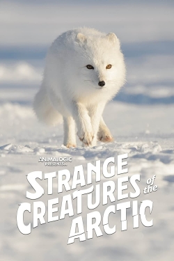 watch Strange Creatures of the Arctic movies free online