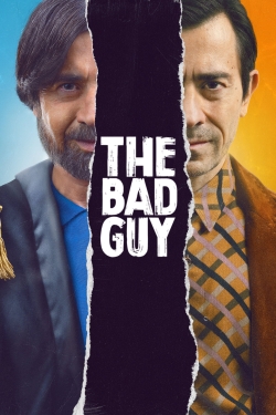 watch The Bad Guy movies free online