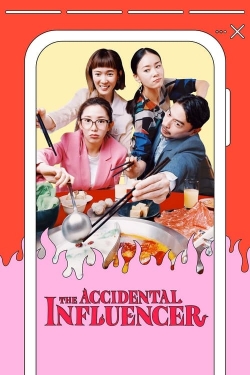 watch The Accidental Influencer movies free online