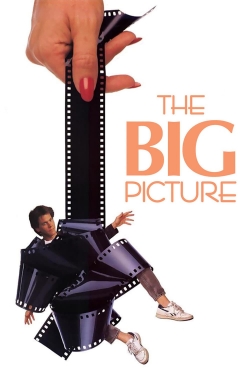 watch The Big Picture movies free online
