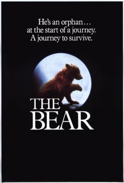 watch The Bear movies free online