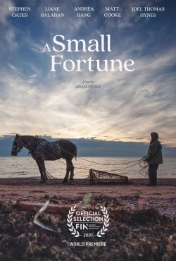 watch A Small Fortune movies free online