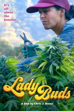 watch Lady Buds movies free online