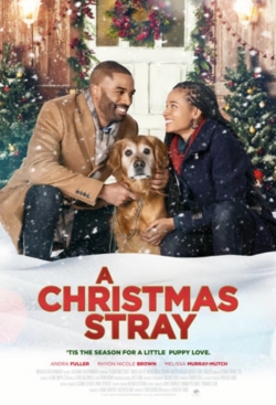 watch A Christmas Stray movies free online