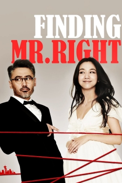 watch Finding Mr. Right movies free online