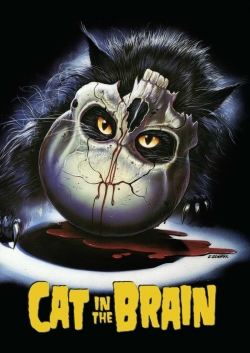 watch A Cat in the Brain movies free online