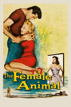 watch The Female Animal movies free online