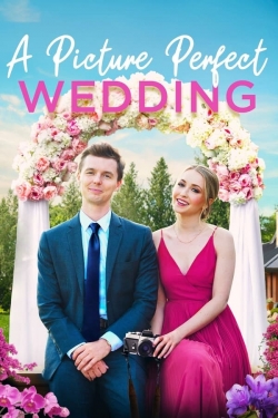 watch A Picture Perfect Wedding movies free online