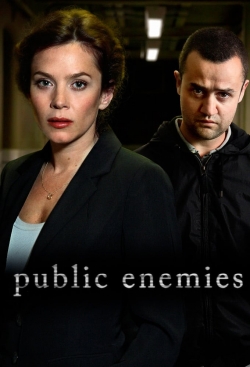 watch Public Enemies movies free online