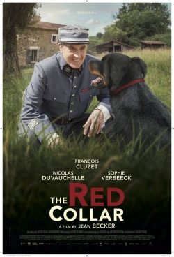 watch The Red Collar movies free online