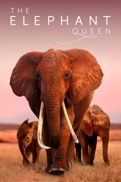 watch The Elephant Queen movies free online