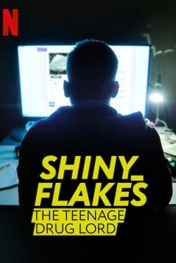 watch Shiny_Flakes: The Teenage Drug Lord movies free online