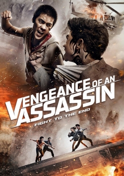watch Vengeance of an Assassin movies free online