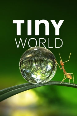 watch Tiny World movies free online