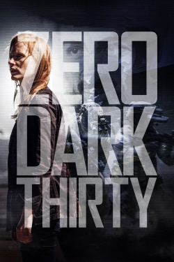 watch Zero Dark Thirty movies free online