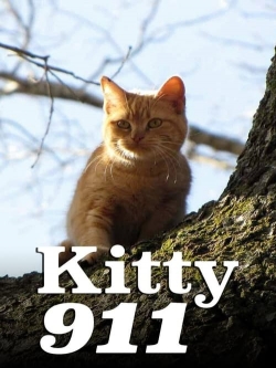 watch Kitty 911 movies free online