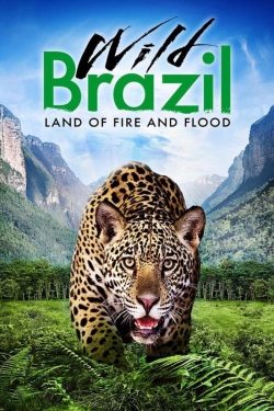 watch Wild Brazil movies free online