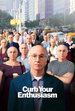 watch Larry David: Curb Your Enthusiasm movies free online
