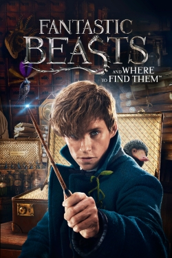 watch Fantastic Beasts and Where to Find Them movies free online