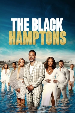 watch The Black Hamptons movies free online